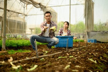 Çiftçi kötü hasat yüzünden mağlup olmuş hissediyor. Ürün arızası ve tarım krizi kavramı.
