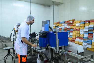 Bir gıda işleme tesisinde makineleri izlemek için dijital tablet kullanan işçiler.