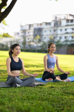 Yeşil bir açık alanda farkındalık ve meditasyon uygulayan iki genç kadın..