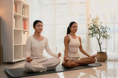 Huzurlu anne ve kızı birlikte farkındalık ve meditasyon yapıyor..