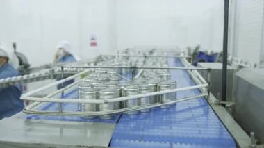 Taşıyıcı bant sistemi gıda işleme fabrikasında mühürlü metal kutuları taşıyor..