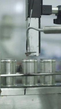 Boş teneke kutular deniz ürünleri konserve fabrikasındaki taşıyıcı bantla hareket ediyor..