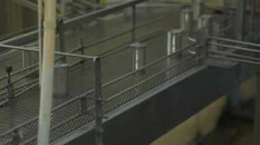 Konveyör bandı temiz bir fabrikada gıda imalatı sırasında çelik kutuları taşır..