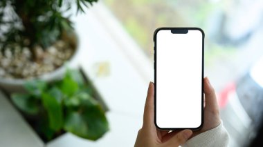 Boş beyaz ekranlı akıllı telefonu tutan eller uygulama modeli veya tasarım sunumuna hazırdır.