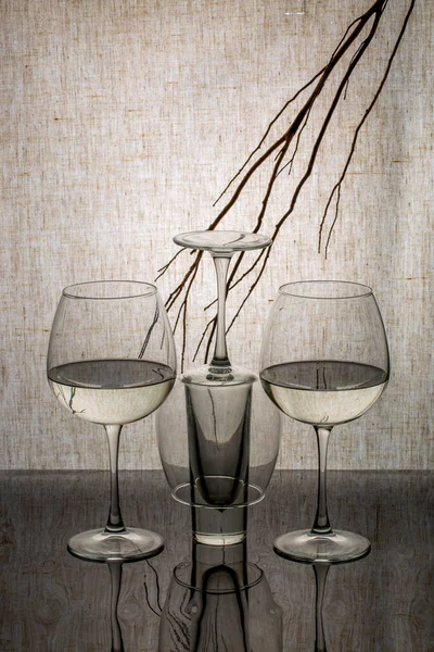 Still Life Glass Objects Branch — Stock Photo, Image