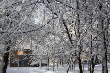Ağaçlara ve kaldırımlara kar yağan kış manzarası