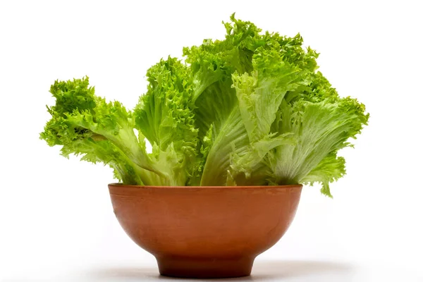 Salatblätter Einem Teller Auf Weißem Hintergrund — Stockfoto