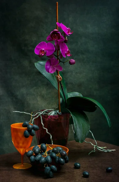 在黑暗的背景下用葡萄把兰花插在罐子里 — 图库照片