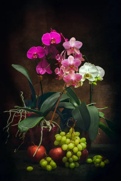 在黑暗的背景下 用葡萄和苹果把兰花插在罐子里 — 图库照片