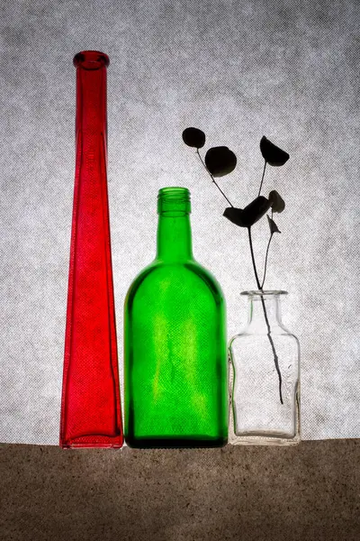 Still Life Colored Bottles Dried Twig — Stock Photo, Image