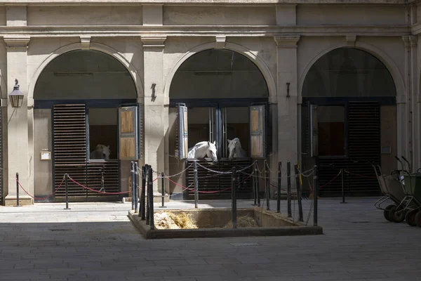 Viyana, Avusturya - 13 Haziran 2023: Viyana 'da İspanyol Binicilik Okulu inşaatı