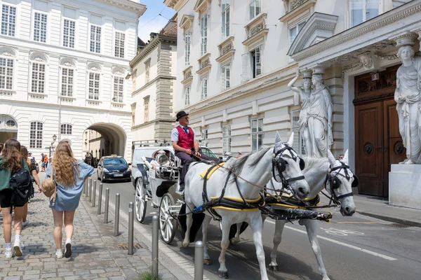 ウィーン オーストリア 2023年6月13日 ウィーンのヨゼフスプラッツ広場で馬と一緒に歩くカート — ストック写真