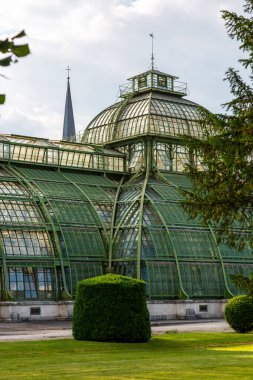 Viyana, Avusturya - 15 Haziran 2023: Schoenbrunn Palace Park 'taki Botanik Evi