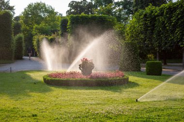 Schoenbrunn Sarayı Parkı 'ndaki çimenleri suluyorum.