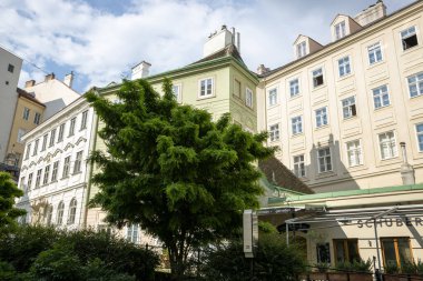 Viyana, Avusturya - 16 Haziran 2023: Viyana sokaklarındaki güzel binalar