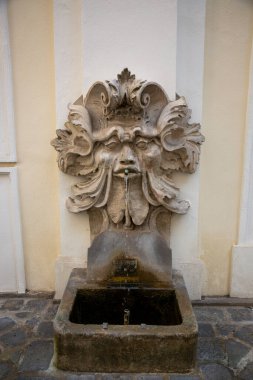 Viyana, Avusturya - 16 Haziran 2023: Sokakta musluk suyu olan heykel