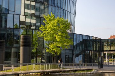 Viyana, Avusturya - 16 Haziran 2023: Viyana sokaklarındaki güzel binalar