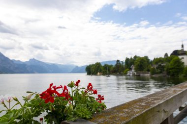 Gmunden, Avusturya 'daki Traunsee Gölü' nün arka planında çiçekler