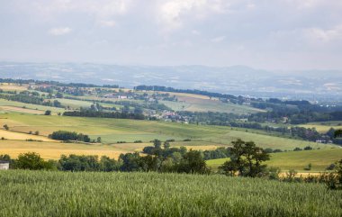 Avusturya 'nın kırsal bölgelerinden birinin yaz manzarası, panorama