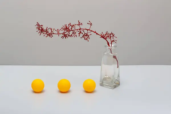 Still life with a red branch vase and balls on a gray background
