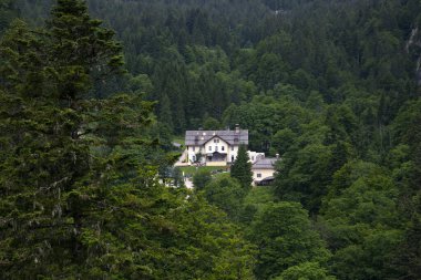 Hallstatt, Avusturya - 17 Haziran 2023: Ormanın ortasındaki dağlarda bir ev