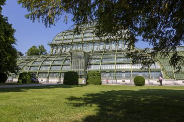 Viyana, Avusturya - 18 Haziran 2023: Schoenbrunn Palace Park 'taki Botanik Evi