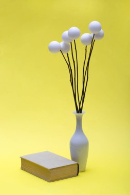 Bir kitap ve vazoda beyaz toplarla dolu bir hayat.