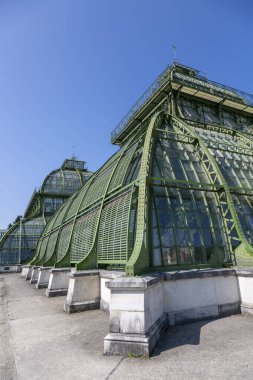 Viyana, Avusturya - 18 Haziran 2023: Schoenbrunn Palace Park 'taki Botanik Evi