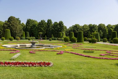 Viyana, Avusturya - 18 Haziran 2023 Schoenbrunn Palace Park 'taki ara sokakta çiçek tarhı