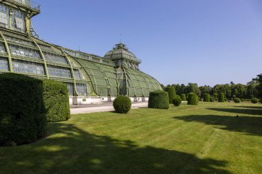 Viyana, Avusturya - 18 Haziran 2023: Schoenbrunn Palace Park 'taki Botanik Evi