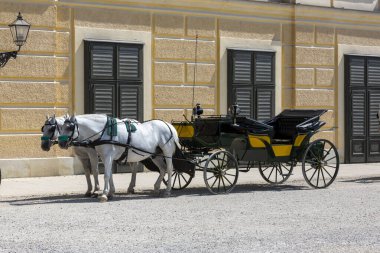 Viyana, Avusturya - 18 Haziran 2023: Yaz İmparatorluk Sarayı yakınında yürüyen bir vagon