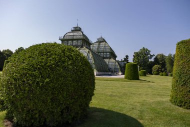 Viyana, Avusturya - 18 Haziran 2023: Schoenbrunn Palace Park 'taki Botanik Evi