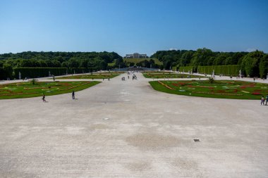 Viyana, Avusturya - 18 Haziran 2023: Schoenbrunn Sarayı Parkı