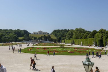 Viyana, Avusturya - 18 Haziran 2023: Schoenbrunn Sarayı Parkı