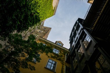 Viyana, Avusturya - 20 Haziran 2023: Bir apartmanın avlusu, aşağıdan manzara.