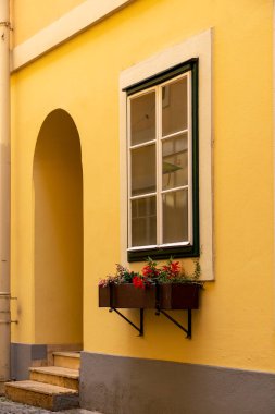 Bir apartmanın penceresinin altında bir kutu çiçek.