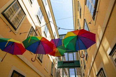 Viyana 'da bir caddede asılı şemsiyeler