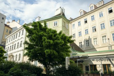 Viyana, Avusturya - 16 Haziran 2023: Viyana sokaklarındaki güzel binalar