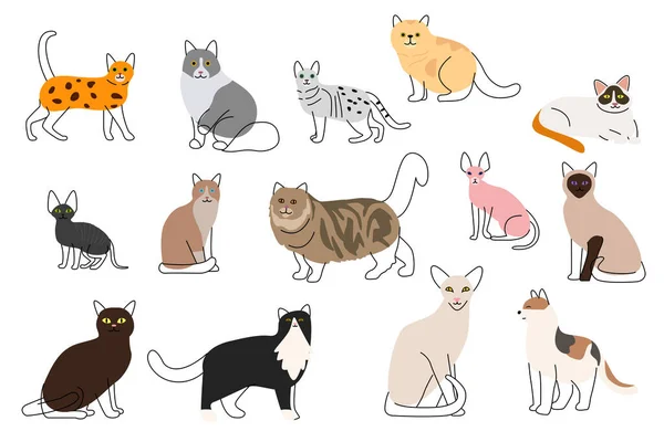 Vector Illustration Different Cute Cat Icons — Stock Vector