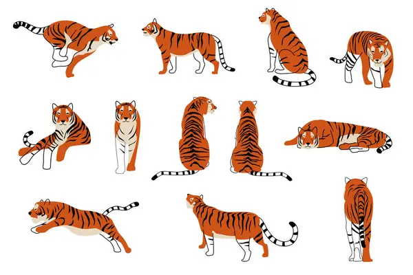 stock vector A vector illustration of Tiger Wildlife Animal Icons