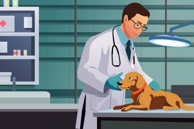 Hayvan Hastanesi 'nde çalışan veterinerlerin vektör çizimi