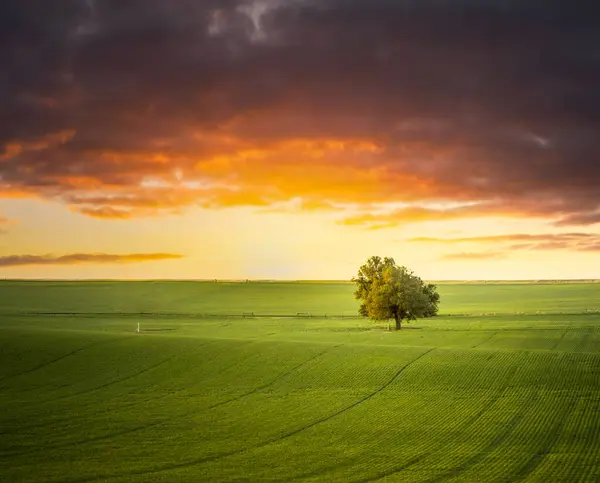 Sonnenuntergang Über Einem Schönen Feld lizenzfreie Stockfotos