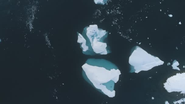 白色和蓝色的冰山顶部向下的无人驾驶飞机的观点 南极飞行 纵观孤独的雪白冰山 在极地冬季海水中 大自然原生态的美丽 — 图库视频影像