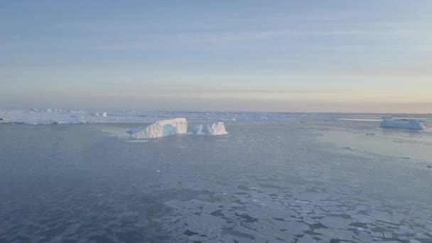 南極の海洋水面に関するドローン空中観測 氷と氷山を浮かべている バーナドスキー駅近くの南極海岸 ポールベースのシーブラッシュ氷床 自然温暖化コンセプト トップフライト — ストック動画