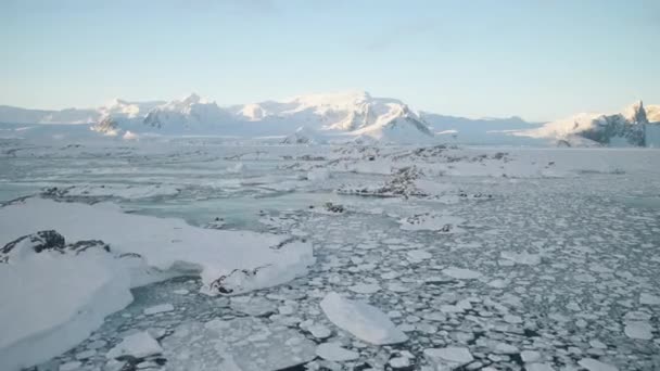 南極海岸の日の出 空からの眺め 海は溶ける氷を覆った 雪山の上の南極大陸 冬のオープンウォーター 美しい空の風景 トップ ドローン フライト — ストック動画