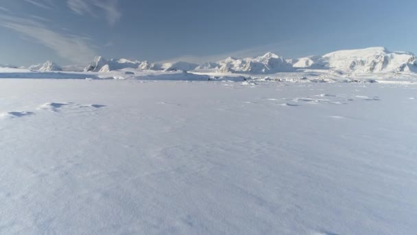 Végtelenül Végtelenül Sarki Havas Sivatag Antarktiszon Déli Sarki Fagyos Felszín — Stock videók