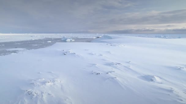 南極の無限の極地の雪の砂漠 凍った氷山 南極の霜の表面 科学ベース 雪は地平線で山を覆いました 空中視界フライト アイスランドスケープ ウィンターフリーズ — ストック動画