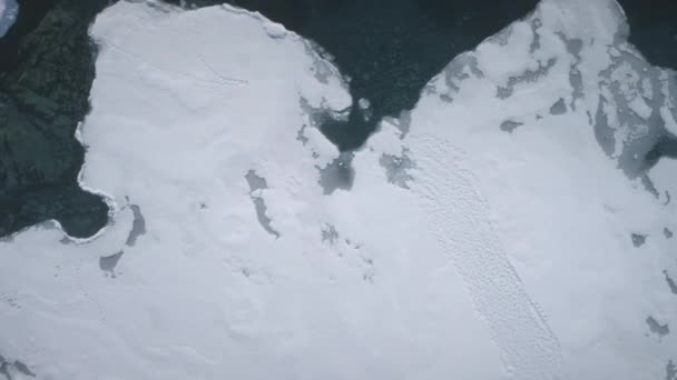Blick Von Oben Nach Unten Über Die Küste Der Antarktis — Stockvideo