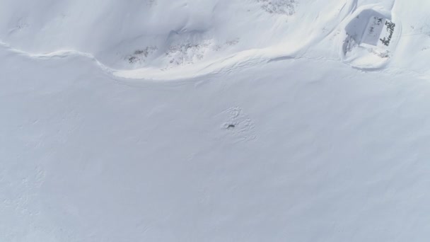 Antarktika Buzu Kıta Kaplamalı Üst Aşağı Görünümü Hava Görüntüsünden Uzaklaş — Stok video