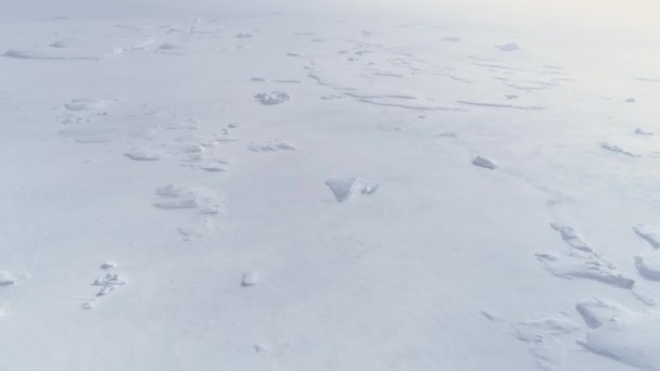 Вид Воздуха Замерзшую Водную Поверхность Полярного Океана Снежный Покров Антарктиды — стоковое видео